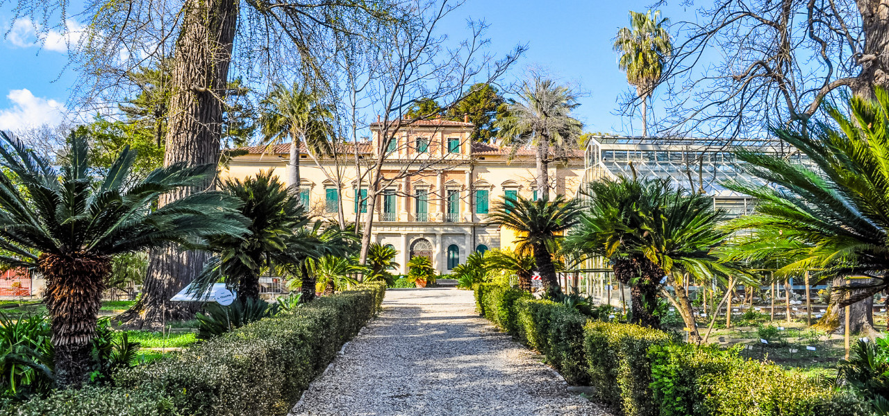 Immagini-apertura-eventi-TDP